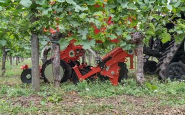 Weeding orchards and vineyards easily